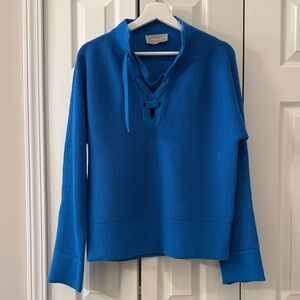 Everlane V-Neck Sweater in Bold Blue
